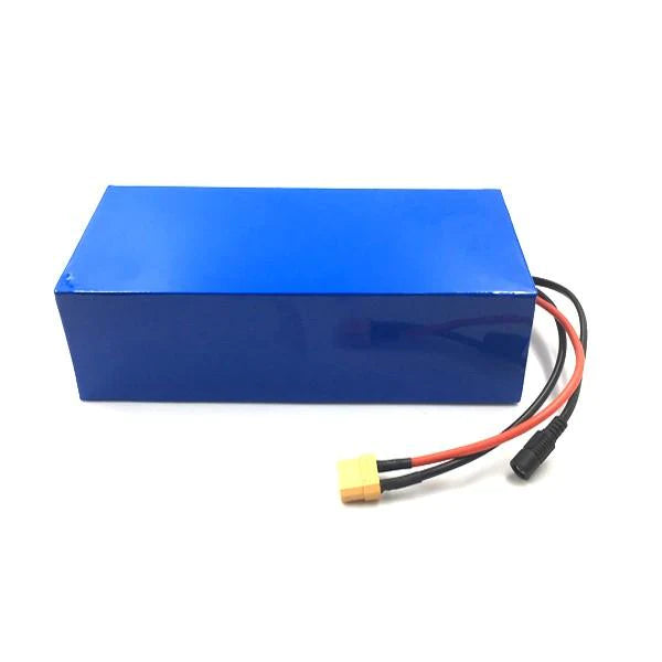 Lithium Ion Battery [Adds 6-8 weeks to delivery]